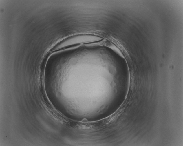 X0000084550346200703091725