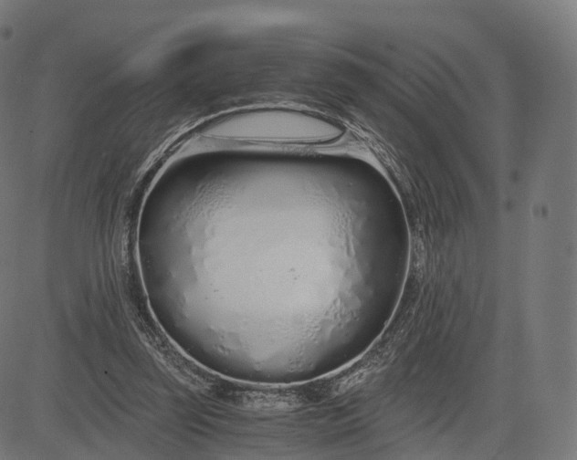 X0000084550347200703091725