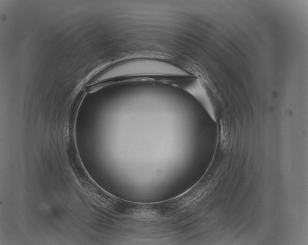 X0000084550348200703091725