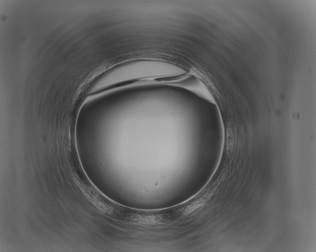 X0000084550349200703091725