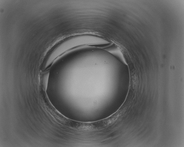 X0000084550350200703091725