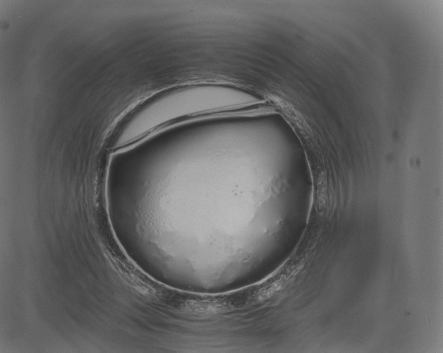 X0000084550351200703091725