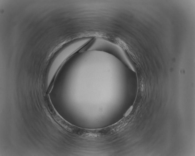 X0000084550352200703091725