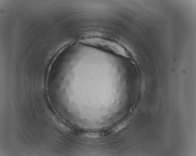 X0000084550353200703091725