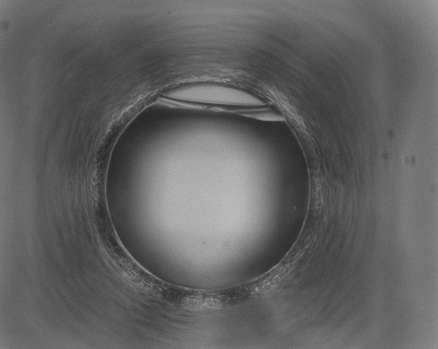 X0000084550354200703091725