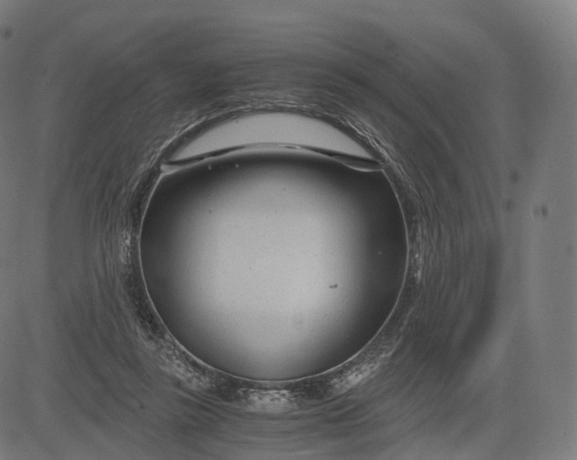 X0000084550355200703091725