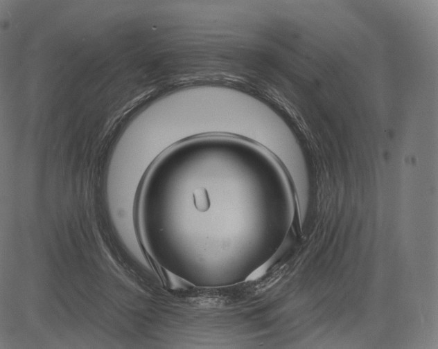 X0000084550356200703091725