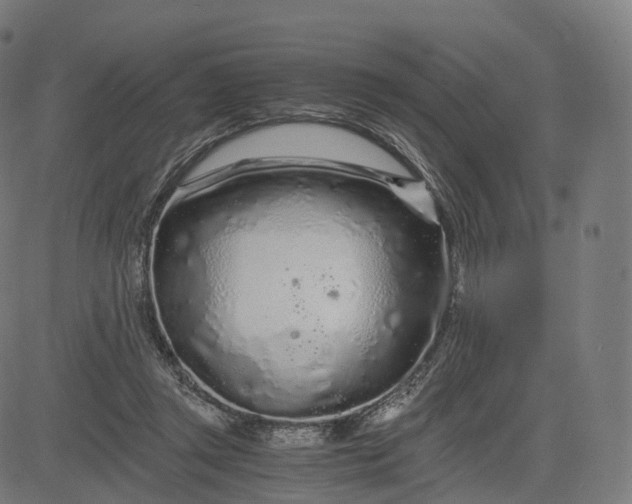 X0000084550357200703091725