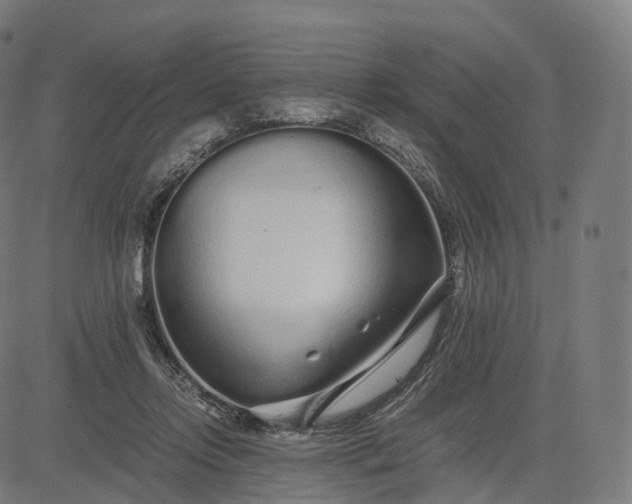 X0000084550358200703091725