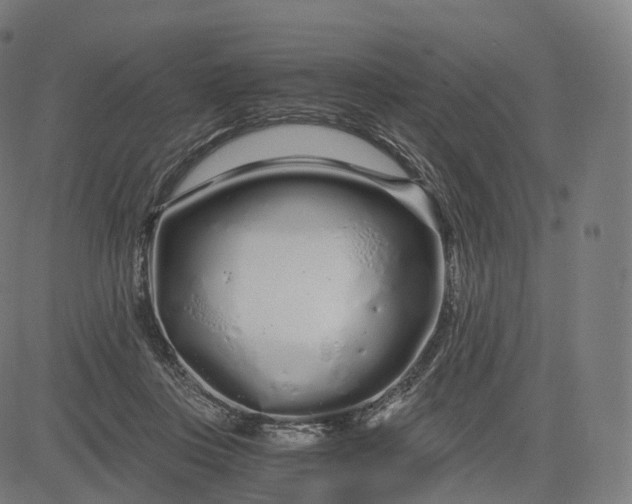 X0000084550359200703091725