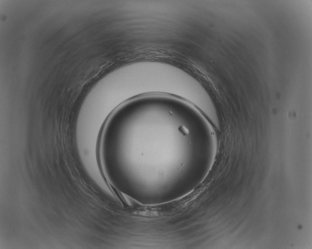 X0000084550362200703091725