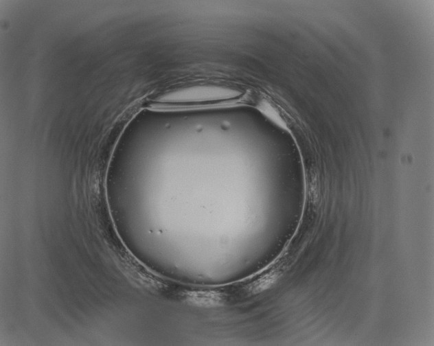 X0000084550363200703091725