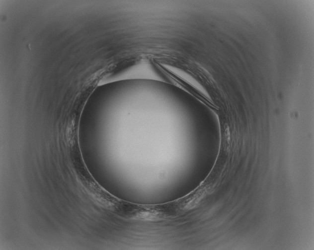 X0000084550364200703091725