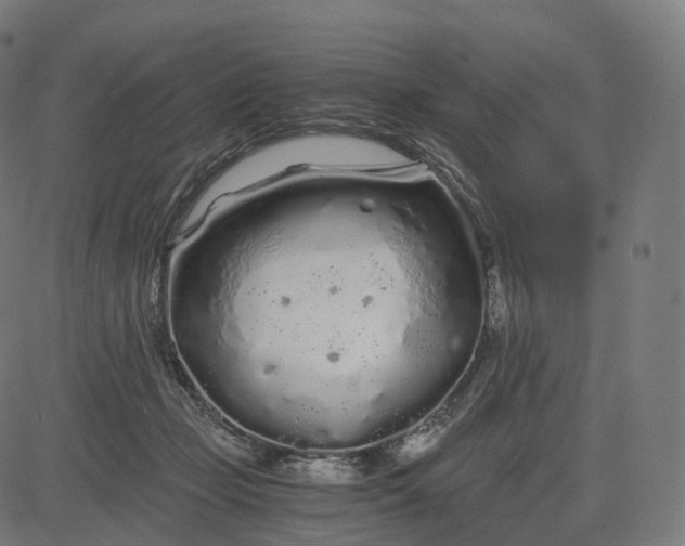 X0000084550365200703091725