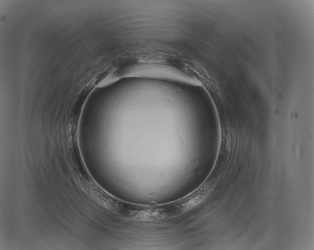 X0000084550366200703091725