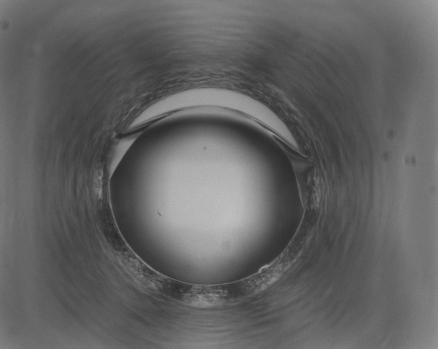 X0000084550368200703091725