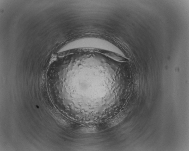 X0000084550369200703091725