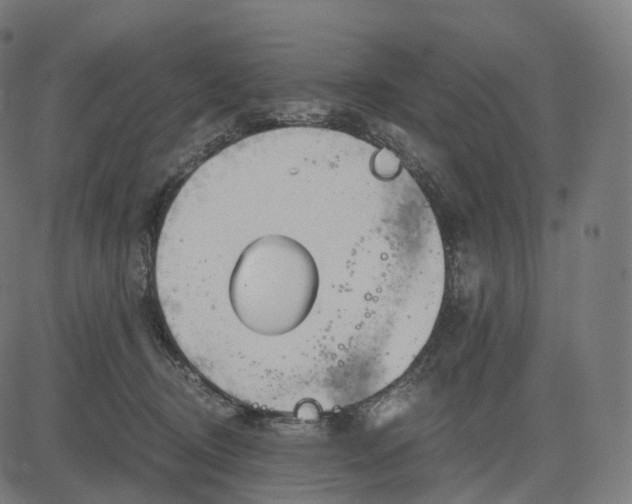 X0000084550370200703091725