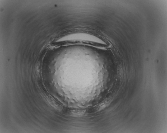 X0000084550373200703091725