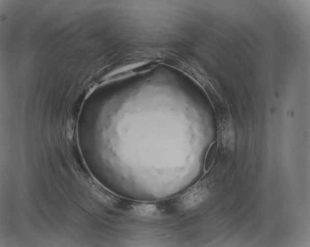 X0000084550374200703091726