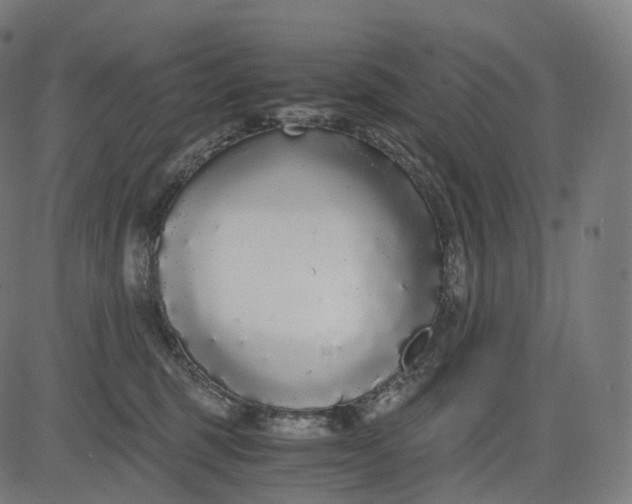 X0000084550375200703091726