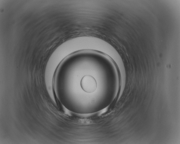 X0000084550376200703091726