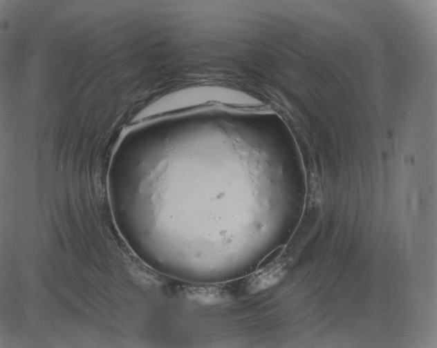 X0000084550377200703091726