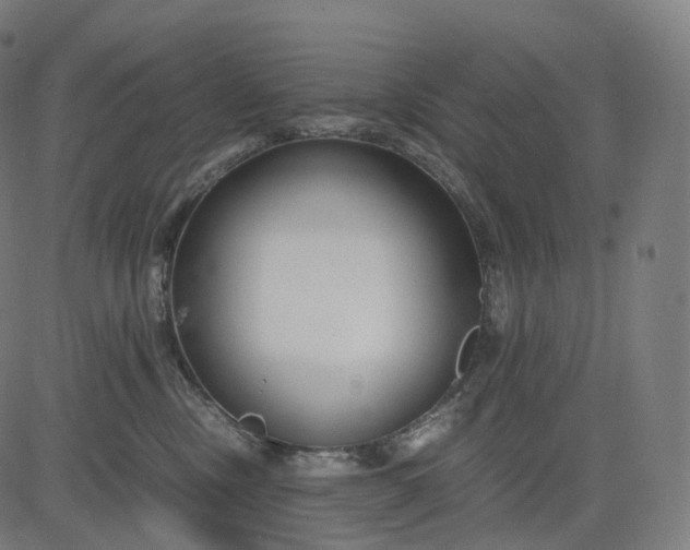 X0000084550378200703091726