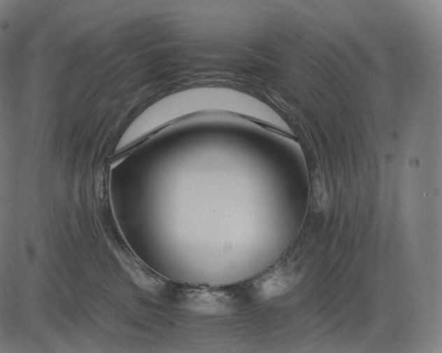 X0000084550379200703091726