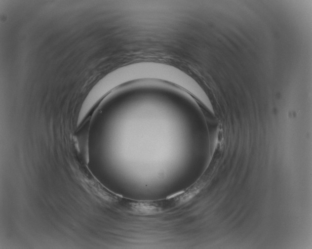 X0000084550380200703091726