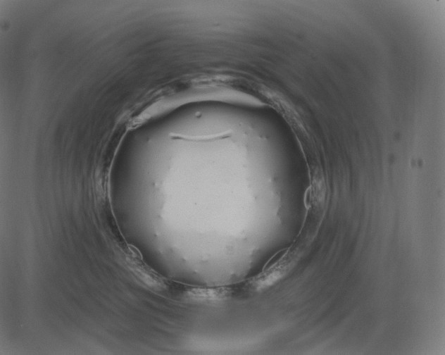 X0000084550381200703091726