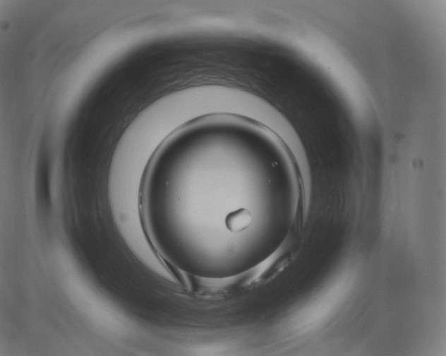 X0000084550382200703091726