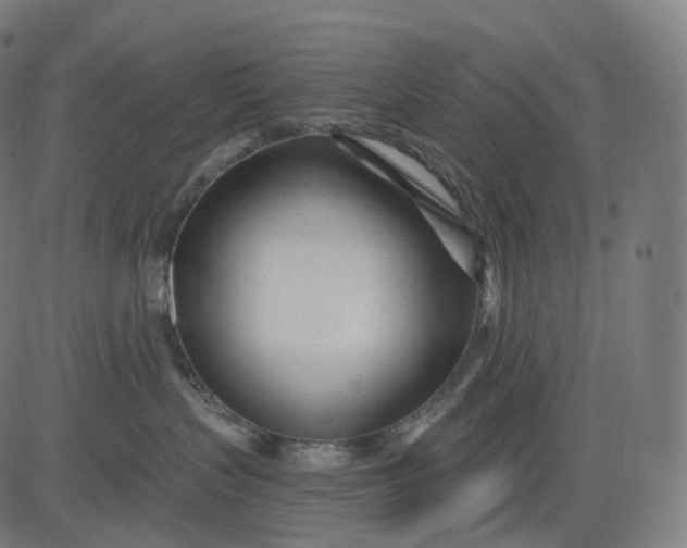 X0000084550383200703091726