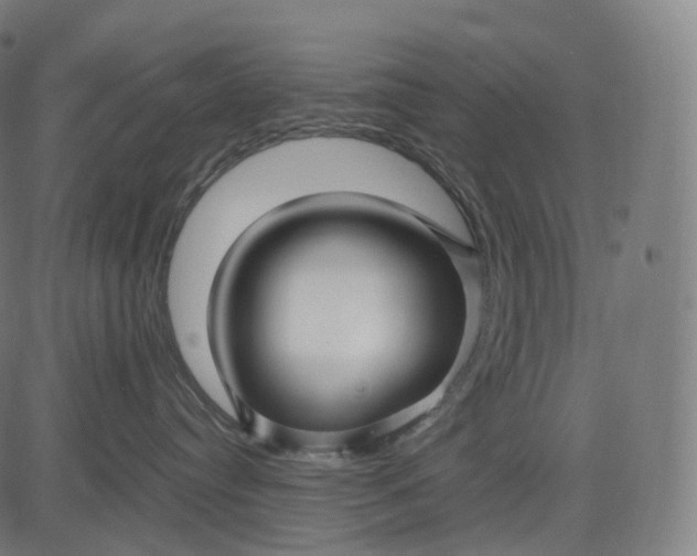 X0000084550384200703091726