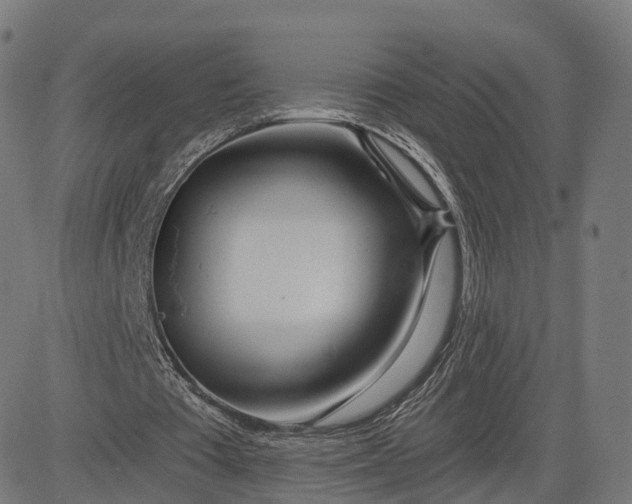 X0000084550385200703091725