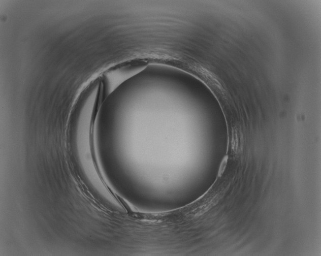 X0000084550388200703091725