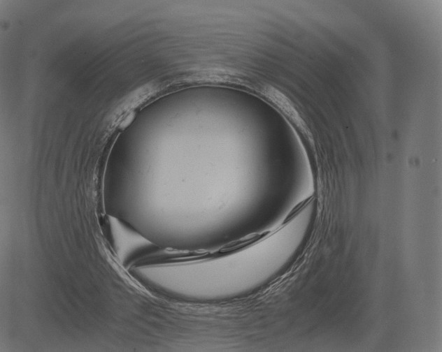 X0000084550389200703091725