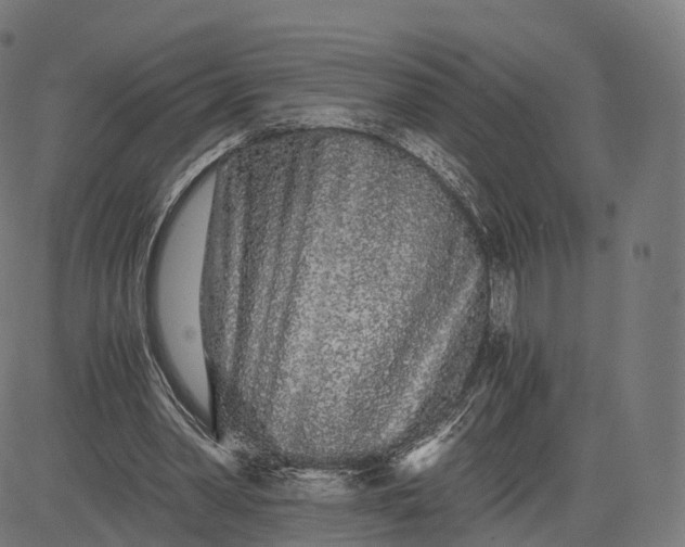 X0000084550390200703091725