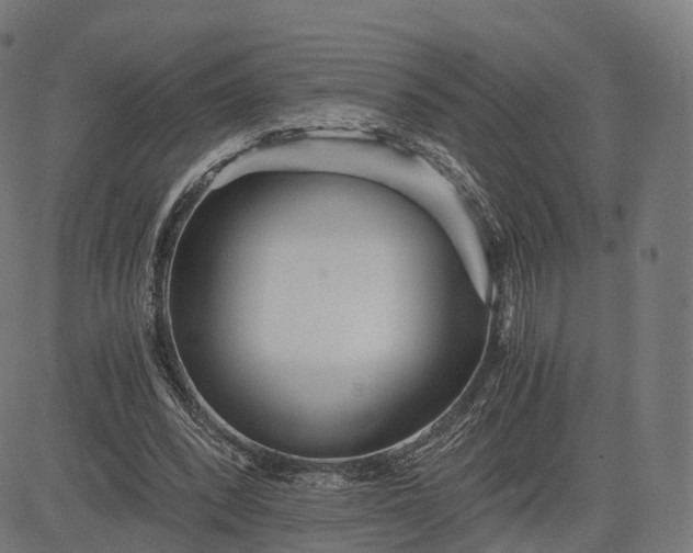 X0000084550392200703091725