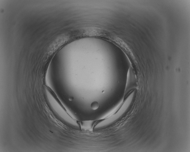 X0000084550393200703091725