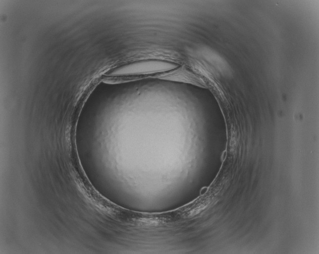 X0000084550394200703091725