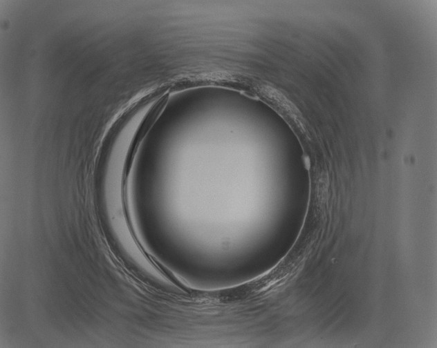 X0000084550395200703091725