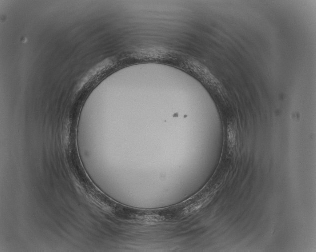 X0000084550396200703091725