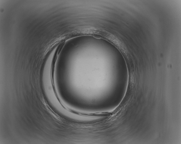 X0000084550397200703091725