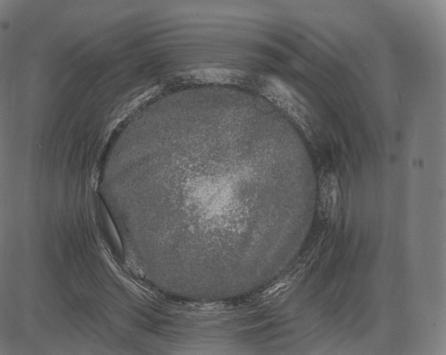 X0000084550398200703091725