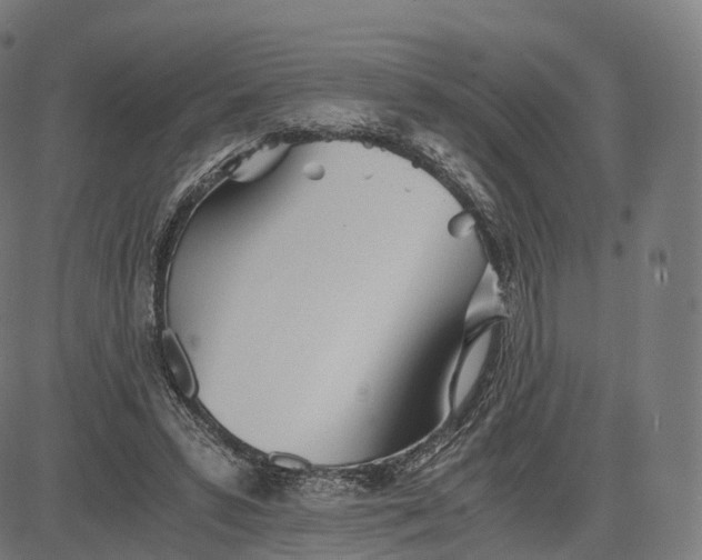 X0000084550399200703091725