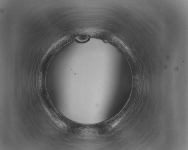 X0000084550400200703091725