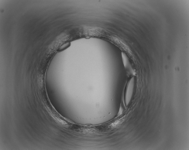 X0000084550401200703091725