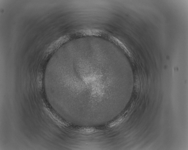 X0000084550402200703091725