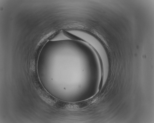 X0000084550403200703091725